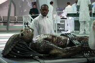 Predator - Upgrade – Predator - Upgrade (2018)