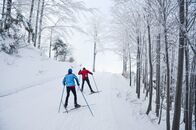 Langlauf: Weltcup – Langlaufen