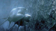 Mega Shark vs. Mecha Shark – Militärwissenschaftlerin Rosie Gray hat viele der Schwächen der neuartigen Maschine noch nicht rechtzeitig ausmerzen können, was sich der Mega Shark schon bald zu Nutze macht.