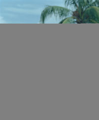 CSI: Miami – CSI: Miami (2006)