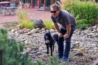 SOKO Köln – Hauptkommissar Matti Wagner (Pierre Besson) ermittelt im Fall eines erschossenen Hundesitters und dreier verschwundener Bulldoggen. Gleichzeitig ist er selbst Hundesitter von Mata Hari.