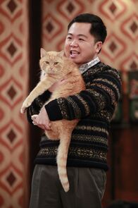 2 Broke Girls – Noch ahnt Han (Matthew Moy) nicht, dass die Katze von Max und Caroline ein Geheimnis hütet ...