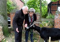 Rote Rosen – ARD ROTE ROSEN FOLGE 1856 Uhr im ERSTEN. Inge (Peggy Lukac, r.) und Udo (Klaus Mikoleit, l.) finden eine verletzte Ziege und sehen sich in ihrer Entscheidung, einen Gnadenhof für Tiere zu eröffnen, bestätigt.