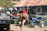 Baskets – Dale Baskets (Zach Galifianakis)
