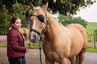 Tiere bis unters Dach – Lucys (Paulina Schnurrer) Pflegepferd Pirat hat eine seltene Augenkrankheit.