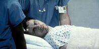 Cabin Fever – Paul (Rider Strong)