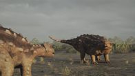 Lost Beasts - Riesen der Urzeit – Vermutlich hat der 2018 in Chile entdeckte Stegouros seine Schwanzwaffe nicht nur gegen Fressfeinde, sondern auch gegen Artgenossen eingesetzt.