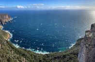 Tasmaniens wundersame Tierwelt – Die raue, zerklüftete Küste Tasmaniens ist die Heimat vieler Tierarten, die es nur noch hier gibt.