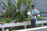 CSI: Miami – CSI: Miami (2005)