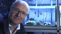 SMS - Schwanke meets Science – Am Alfred-Wegener-Institut für Polar- und Meeresforschung (AWI) in Bremerhaven besucht Karsten Schwanke die Aquarien der Korallenforscher. Eine bunte Südseewelt.