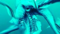Geheimakte Wildnis – In Saragossa im Nordosten Spaniens geht ein mysteriöser Taubenfresser um: Vögel, die sich am Rand des Flusses Ebro niederlassen, werden blitzschnell ins Wasser gezogen. Die Attacken ereignen sich ausschließlich in den Abendstunden. Der Journalist Andy Allen reist nach Saragossa, um herauszufinden, was am Ufer des Ebro vor sich geht. Auch im Golf von Mexiko bahnt sich ein Naturdrama an: Tote Seeschildkröten werden zu Hunderten an der Küste angespült.