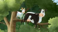 Lieselotte – Hoch oben im Baum hat sich Lieselotte versteckt.