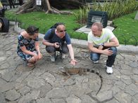 Verrückt nach Meer – Passagiere Lisa und Sebastian mit Reiseleiter Bernd bei einem Leguan im Leguanpark in Guayaquil, Ecuador.