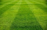 Fußball: Conference-League-Qualifikation – Soccer field