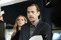 Navy CIS – Ellie Bishop (Emily Wickersham, l.); Timothy McGee (Sean Murray, r.)