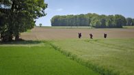 Missing Lisa – Ylena (Laurian Callebaut), Michiel (Boris Van Severen) und Zoë (Violet Braeckman) filmen ihre Wanderung, um aus der Reise eine Dokumentation zu produzieren.