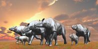 Helden der Evolution – Paraceratherium Herde, lebten in Eurasien während des Eozän-Zeitraums.