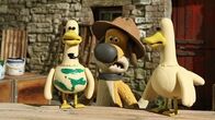 Shaun das Schaf – Falscher Alarm. Die Vögel sind nicht selten. Aber wie sehen echte Zebra-Enten aus?