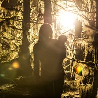 The Hallow – Der in Irland gedrehte Film überzeugt mit grandioser Kameraarbeit in geheimnisvollem Zwielicht.