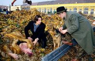 Kommissar Rex – Kommissar Richie Moser (Tobias Moretti, M.) und sein Assistent Stockinger (Karl Markovics, r.) finden die ermordete Ines Wieland (Ingrid Köstler, l.) in einem Laubhaufen in Schönbrunn.
