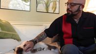 Der Katzenflüsterer – Jackson Galaxy with Izzy the cat.