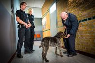 Notruf Hafenkante – Wachmann Krause (Uli Krohm, r.) ist glücklich, dass ihm Melanie (Sanna Englund) und Mattes (Matthias Schloo, l.) seinen Wachhund Riffi zurückgebracht haben.