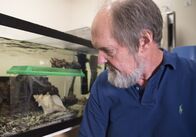 Wunder der Wissenschaft – Professor Roy Caldwell, Meeresbiologe, mit dem "Großen pazifischen gestreiften Oktopus".