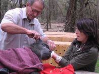 Tierische Außenseiter – On the right: Lucy Cooke