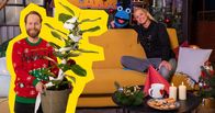 SingAlarm – Es wird weihnachtlich im "SingAlarm"-Studio. Für die perfekte Weihnachtsstimmung sorgen die Hits O je, Tannenbaum! von Enno Bunger, XXL-Wunschzettel von Deine Freunde und Schnee im Gefrierfach von Nicola Rost.