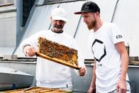 Hoagascht – Die Imker Alfred Hauska (weiße Cappy) und Dominik Kussegg überprüfen die Bienenwaben ihrer Bienenstöcke auf dem Rathausdach in Wien