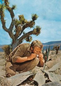 Nevada Smith – Nevada Smith (1966)