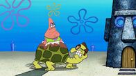 SpongeBob Schwammkopf – L-R: Patrick, Tony