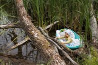 WaPo Berlin – Nach dem Fund eines in einer Wanne ausgesetzten Babys auf dem Wannsee wird die WaPo Berlin alarmiert.