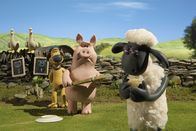 Shaun das Schaf – Aus Spiel wird Ernst: Shaun möchte die Schweine unbedingt besiegen.