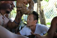 Spuren verlorener Städte mit Albert Lin – Dr. Albert Lin nimmt an einer traditionellen Sakau-Trinkzeremonie auf der Insel Pohnpei, Mikronesien, teil. Sakau ist ein psychoaktives rituelles Getränk, das fester Bestandteil der Kultur und Identität von Pohnpei ist.