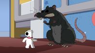 Family Guy – Brian Griffin (l.)