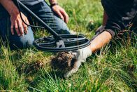 Treasure Hunters Down Under – Metal detector searching for treasure in the ground.