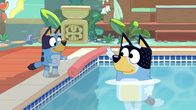 Bluey – L-R: Bluey, Bandit