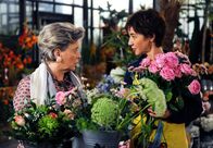 Rote Rosen – ARD ROTE ROSEN FOLGE 1869 Uhr im ERSTEN. Merle (Anja Franke, r.) erzählt Inge (Peggy Lukac, l.) von ihrem Plan, einen Arganöl-Handel zu gründen.