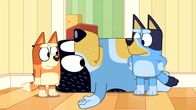 Bluey – Bluey (2020)