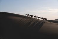 Aufstieg und Fall großer Völker – Schon in der Antike gab es globalen Handel. So wurde Siede aus dem heutigen China bis nach Europa transportiert.