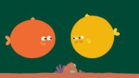 Animanimals – Zwei aufgeblasene Kugelfische