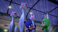 PJ Masks - Pyjamahelden – L-R: Catboy (voiced by Jacob Ewaniuk), Gekko (voiced by Kyle Breitkopf)