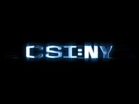 CSI: NY – CSI: NY (2012)