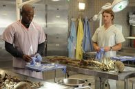 Dr. House – Während Foreman (Omar Epps, l.) über den Fall des Polizisten grübelt, kommt Chase (Jesse Spencer, r.) nicht darüber hinweg, den Dikatoren Dibala getötet zu haben ...