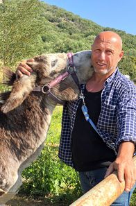 Trauminseln – Olivier ist einer der letzten Eselzüchter auf der Insel. Obwohl das Langohr eines der Wahrzeichen Korsikas ist, drohte es in Vergessenheit zu geraten. Aber dank Olivier feiert der Esel ein Comeback.