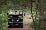 Der Ranger - Paradies Heimat – Bei einem Unfall im Wald wird Rike eingeklemmt und kann sich nicht mehr selbst befreien. Doch auf Jonas (Philipp Danne) Hilfe kann sie sich immer verlassen.