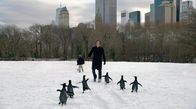 Mr. Poppers Pinguine – Tom Popper (Jim Carrey, r.)
