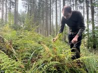 Restaurantlegenden – Klemens Gold im Wald beim Sammeln von Flechten für ein Gericht