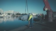 Krieg der Zukunft – Drohnen gibt es nicht nur in der Luft. Auch bei der Marine werden inzwischen Drohnen eingesetzt.